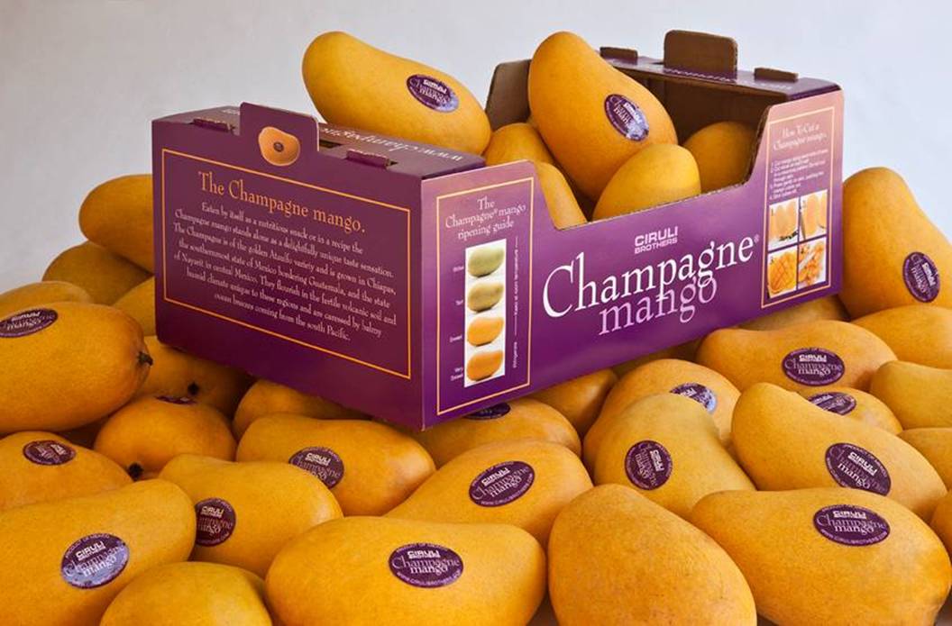 Purple Foldable Mango Box