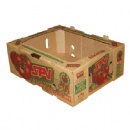Brown Carton Tamato Box